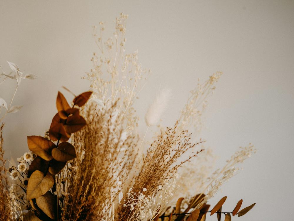 bouquet de fleurs séchées