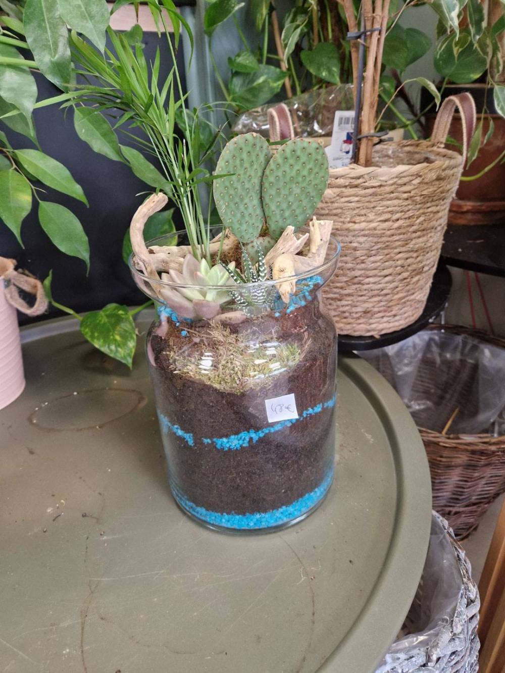 plantes et fleurs en pot (4)