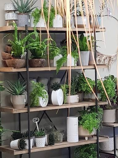 plantes et fleurs en pot (16)