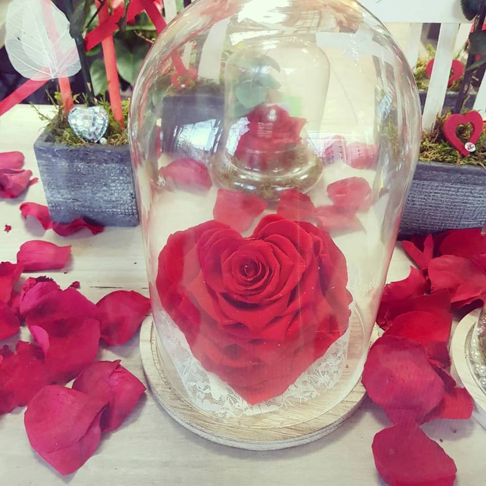rose éternelle (2)